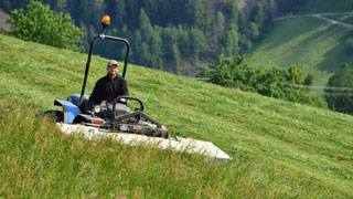 Bei der Heuernte