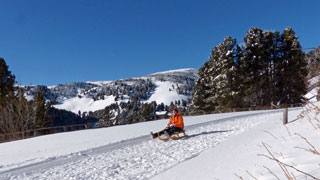 Rodeln auf der Latzfonser Jochalm