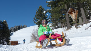 Sledding